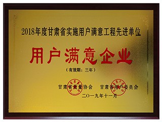 2018年度甘肅省實(shí)施用戶滿意工程先進(jìn)單..